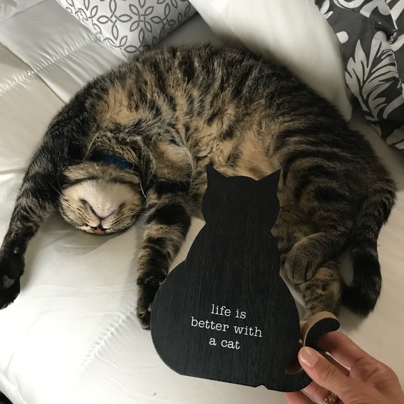 Meet your Posher, Angee - Picture 5 of 6